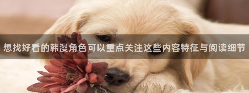 樱花日语N1语法：想找好看的韩漫角色可以重点关注这些内容特征与阅读细节