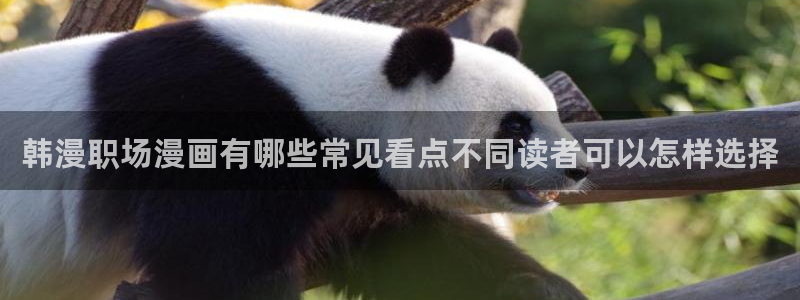 樱花日语基础语法:韩漫职场漫画有哪些常见看点不同读者可以怎样选择