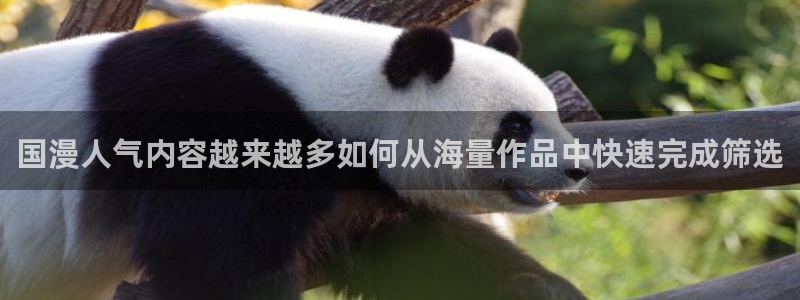 樱花日语网站:国漫人气内容越来越多如何从海量作品中快速完成筛选