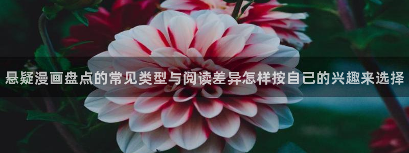 樱花日语视频教程:悬疑漫画盘点的常见类型与阅读差异怎样按自己的兴趣来选择